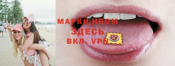 шишки Аркадак