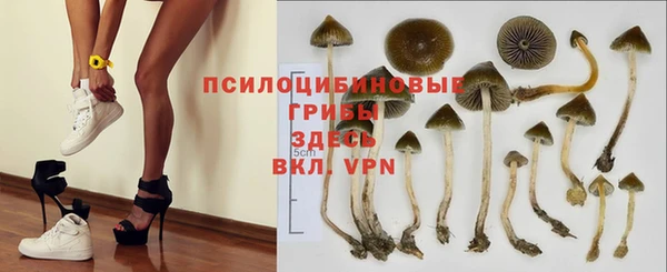 COCAINE Арсеньев