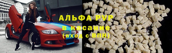 шишки Аркадак