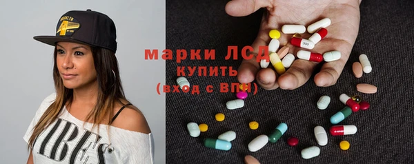 шишки Аркадак
