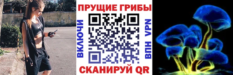 сколько стоит ссылка на мегу сайт Псилоцибиновые грибы Magic Shrooms Озёрск
